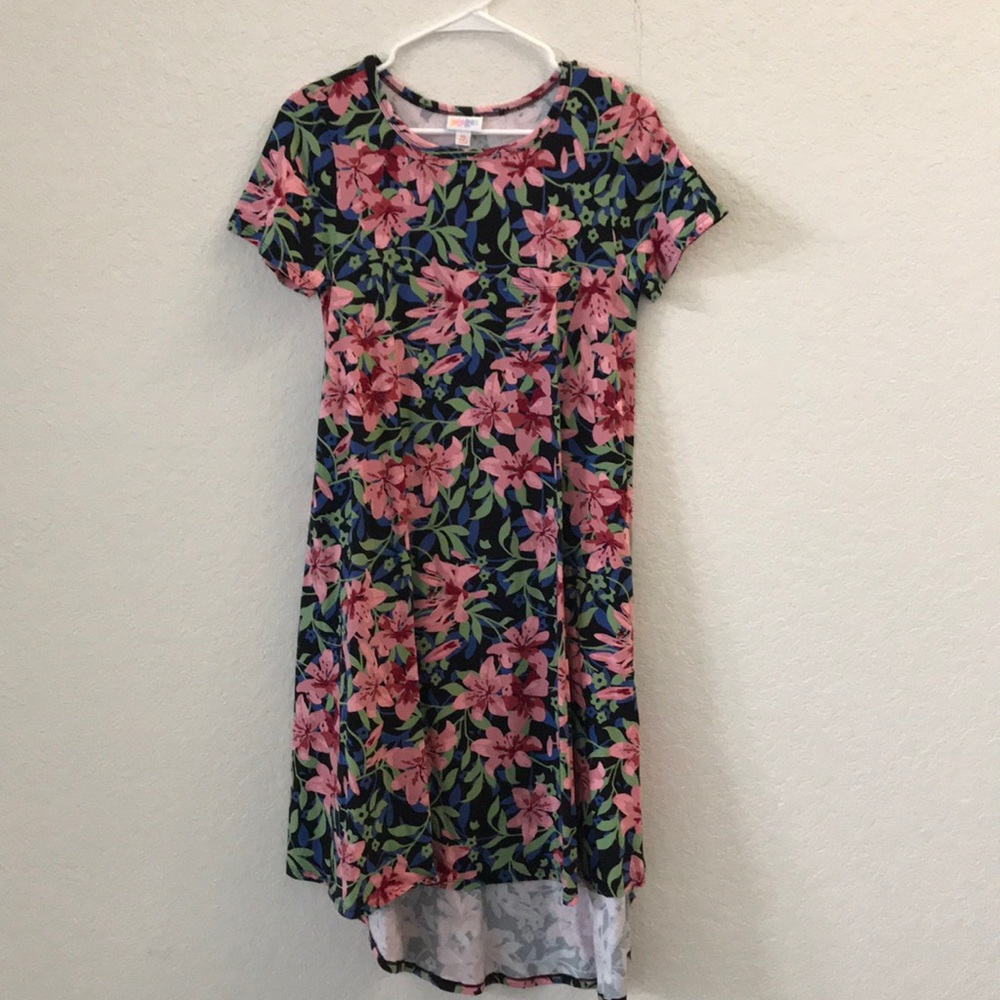Lularoe Carly Dress